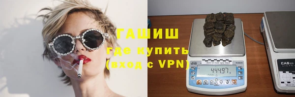 индика Балахна